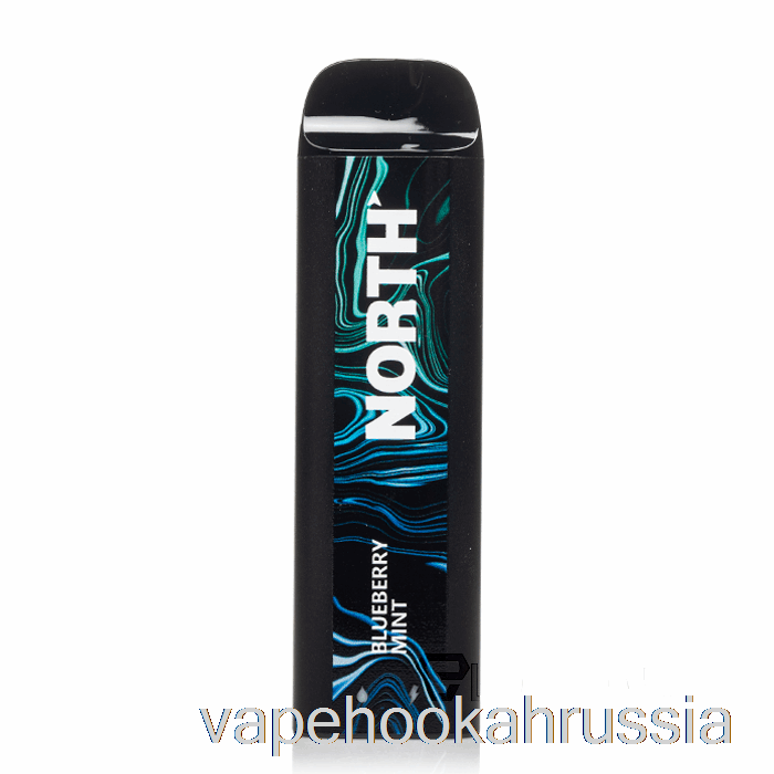 Vape Russia North 5000 одноразовый с черникой и мятой